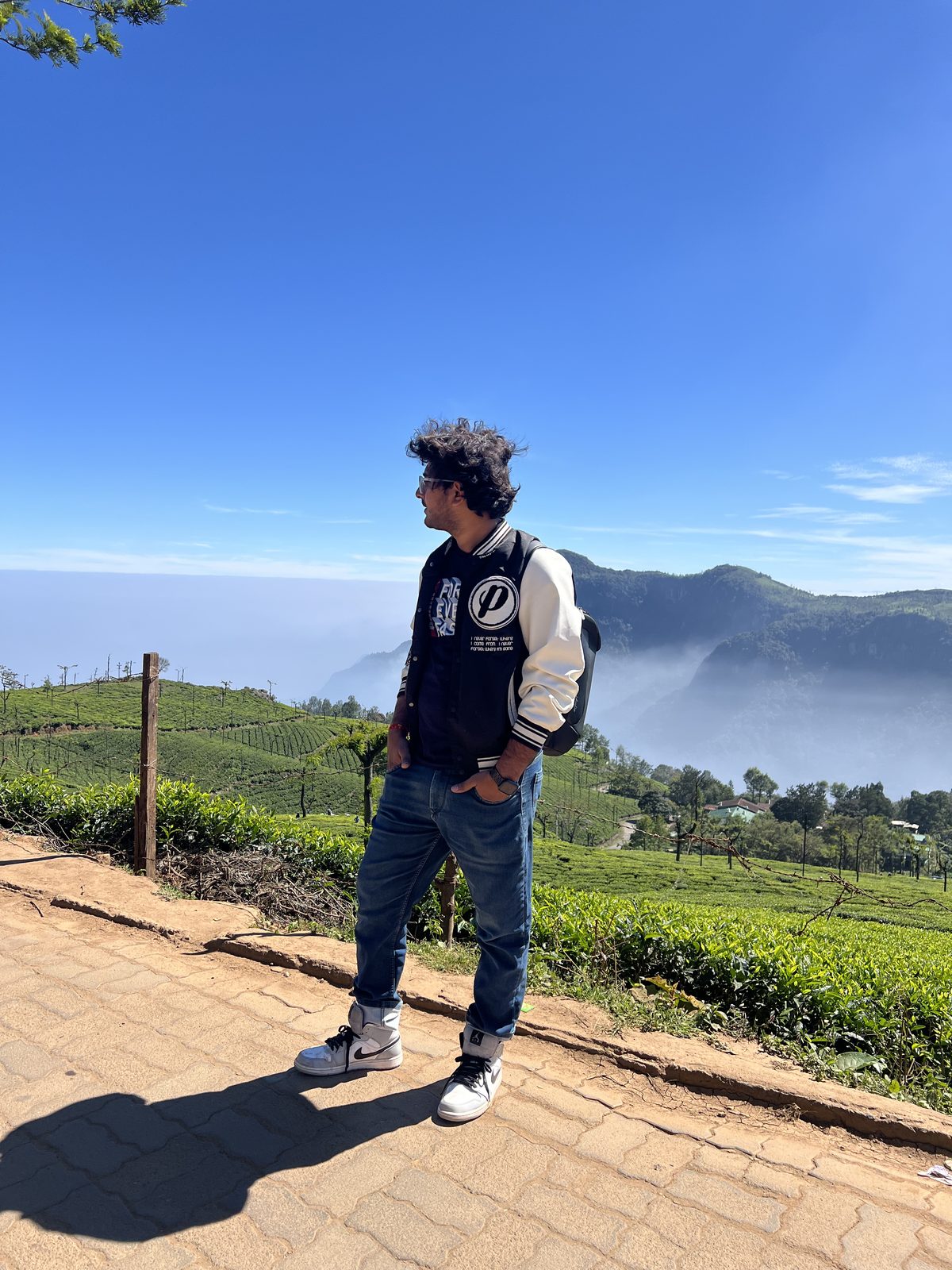 Tea plantations